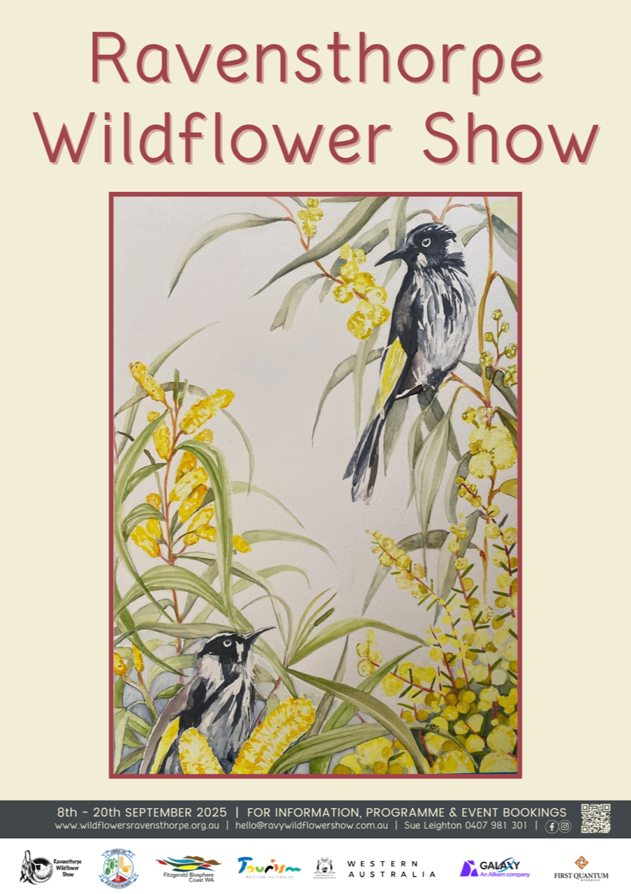 Ravensthorpe Wildflower Show 2025 Programme Cover with artwork by Meg Hodgson